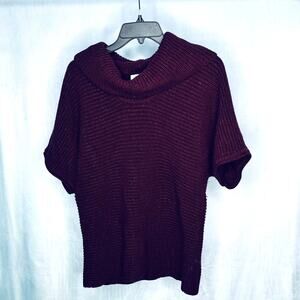 Coldwater Creek Sweater Short Sleeve Dolman Shimmer M